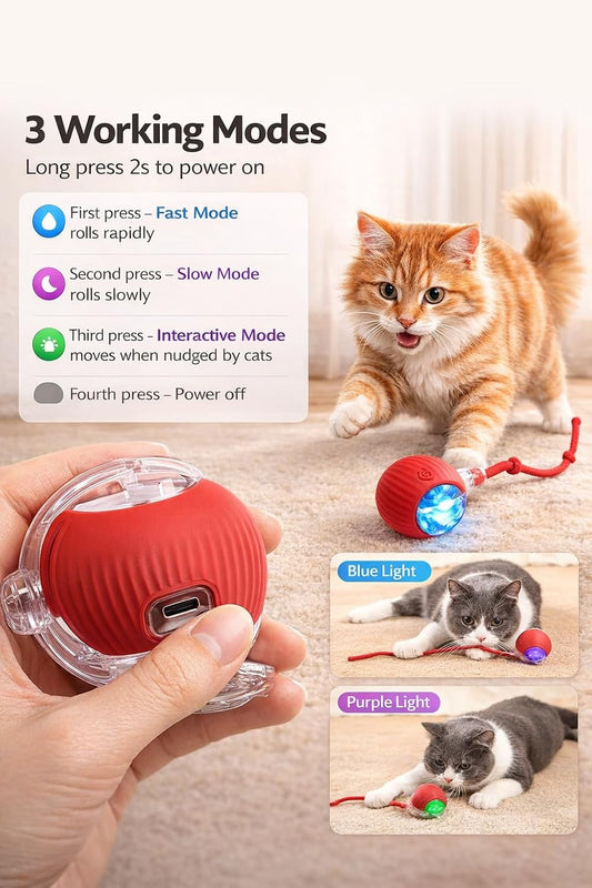 AUTOMATIC CAT ROLLING